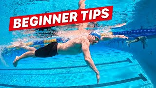 How to Swim Freestyle for Beginner Adults [upl. by Woodie]