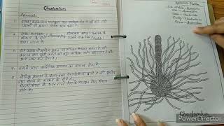 Botany practical file Bsc 1st year [upl. by Nayek]