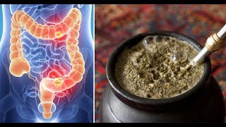 Yerba Mate 5 benefits that will shock you  Yerba mate health benefits [upl. by Orteip]