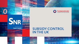 Subsidy control in the UK [upl. by Ecienal]