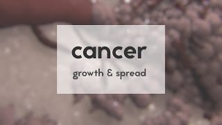 Cancer growth amp spread [upl. by Anilatsyrc418]