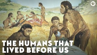 The Humans That Lived Before Us [upl. by Anifad]