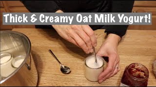 Thick amp Creamy Oat Milk Yogurt So Easy [upl. by Aineval]