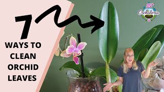 Top 7 Ways to Clean Orchid Leaves That Actually Work [upl. by Adamina]