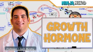 Endocrinology  Growth Hormone [upl. by Alesram]