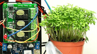 Raspberry Pi Plant Watering amp Time Lapse [upl. by Uok]