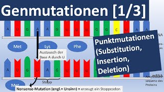 Genmutationen 13 Punktmutationen Insertion Substitution Deletion  Genetik Oberstufe [upl. by Stephan231]