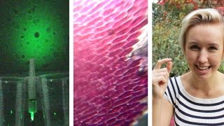 3 DIY Microscopes with a Laser Pen  Shed Science [upl. by Ahseile]