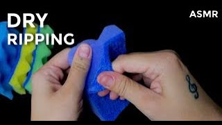 Kitchen sponges ripping ASMR [upl. by Dewie938]