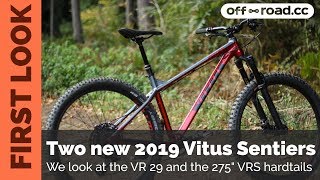 First Look  Two new 2019 Vitus Sentier hardtails [upl. by Latvina]