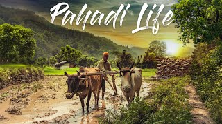 Uttarakhand Village Life  Pahari Lifestyle amp Culture Vlog7 [upl. by Enawyd]