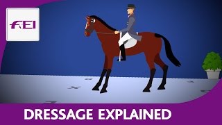 Introduction to Dressage [upl. by Yelsnia247]