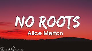 Alice Merton – No Roots Lyrics [upl. by Ydissahc]