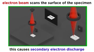 Electron Microscopy TEM and SEM [upl. by Renie11]