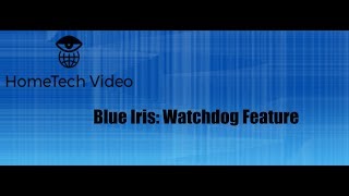 Blue Iris  Watchdog Feature [upl. by Chong]