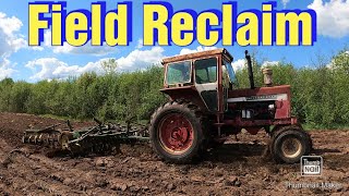 Reclaiming a FieldBrush MowingPlowingDiscingSpreading Manure [upl. by Eboh]