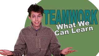 4 Things We Learn From TeamWork [upl. by Strephonn]