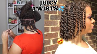 How To Twists Natural Hair Properly As A Protective Style  No Added Hair Needed [upl. by Eita]