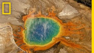 Five MustSee Attractions in Yellowstone  National Geographic [upl. by Shem]