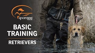 Basic Training  Retrievers [upl. by Pelaga]