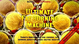 ★The Ultimate Fat Burning Machine★ [upl. by Ayikal]