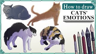 How to draw CATS’ EMOTIONS  Art Tutorial [upl. by Azitram]