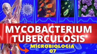 MYCOBACTERIUM TUBERCULOSIS  MICROBIOLOGIA BACTÉRIAS PATOGÊNICAS  TUBERCULOSE [upl. by Asyle]