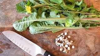 How to harvest prepare and use dandelion leaf and root for beauty and health [upl. by Lacy195]