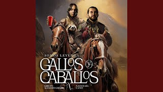 Gallos Y Caballos [upl. by Hilaire]