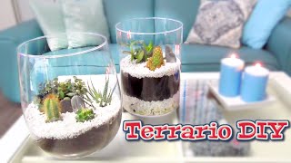 Idea fácil para hacer un regalo  Terrario con plantas DIY [upl. by Lindholm841]