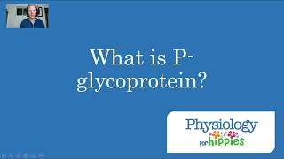 What is Pglycoprotein [upl. by Jethro]