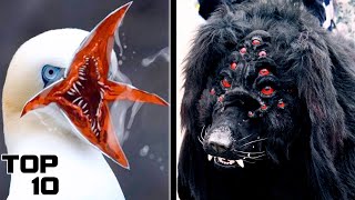 Top 10 Weirdest Animals Found In Chernobyl [upl. by Rehptosirhc]