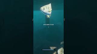 Stranded Deep  Short  CoOp GamePlay PC [upl. by Luckett]