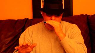 Worlds Easiest Harmonica Lesson 1 [upl. by Yrtneg35]