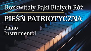 Rozkwitały pąki białych róż Piano Karaoke Version Tonacja G min [upl. by Friedman328]