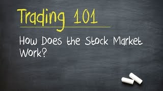 Trading 101 How Does the Stock Market Work [upl. by Alfonse]