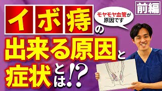 【前編】痔（イボ痔）の症状とモヤモヤ血管の関係性について医師が解説 痔の症状がなぜ起きるのかお尻の構造からイラストを用いて解説。実は、モヤモヤ血管が原因？！ [upl. by O'Driscoll]