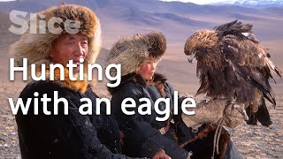 Mongolia The relationship between Kazakhs and eagles  SLICE [upl. by Ymmot228]