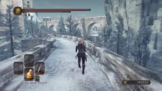 Dark Souls 2 SotFS  All Eleum Loyce Knight Locations [upl. by Laius872]