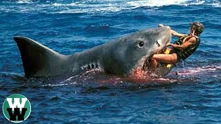 10 DEADLIEST Shark Attack Stories [upl. by Motch]