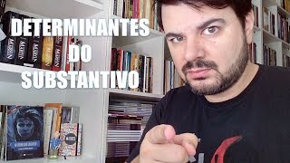 Determinantes do substantivo [upl. by Aneloc]