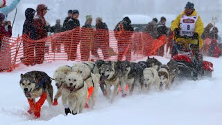 2020 Iditarod Official Start  Willow Alaska [upl. by Talich]