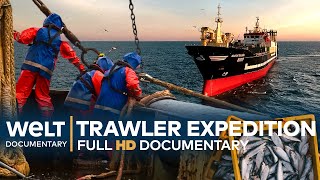 On A FISHING EXPEDITION  Germanys Biggest DeepSea Trawler  Full Documentary [upl. by Adnarrim]