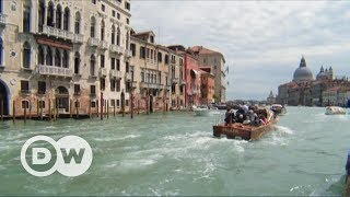 Venetian Lagoon islands Burano and Murano  DW English [upl. by Cranston]