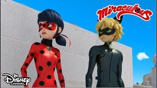 La film  Miraculous Buburuza și Motan Noir  Disney Channel România [upl. by Sharona]