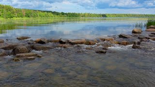 Where Does The Mississippi River Begin Lake Itasca MN 4K video [upl. by Aehc]