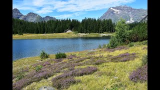 VALTELLINA Lago Palù [upl. by Aniratac]