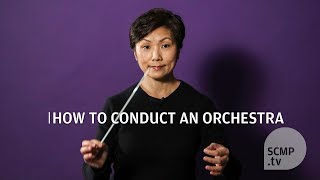 How do you conduct an orchestra [upl. by Yetak85]