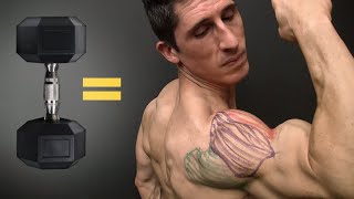 The BEST Dumbbell Exercises  SHOULDERS EDITION [upl. by Assirehs]