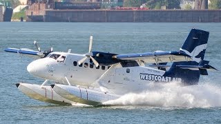 Twin Otter Seaplane Compilation [upl. by Rehsa22]